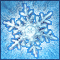 Winter Luck